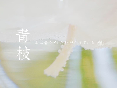 封面图片